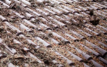 Shrewsbury roof cleaning companies